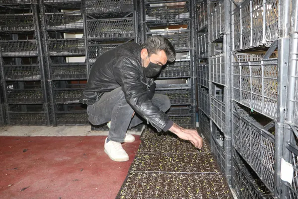 evini-sera-yapip-kiraya-cikti-sebze-fidesi-yetistiriciliginden-300-bin-lira-gelir-bekliyor-1617096914754.jpg