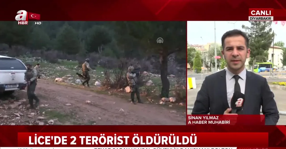 Diyarbakır'da PKK'lı 2 terörist öldürüldü