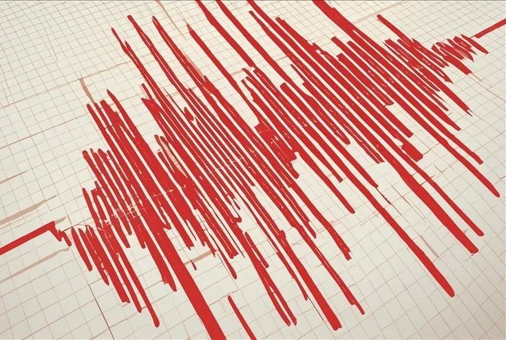 Muğla’da gece yarısı deprem!