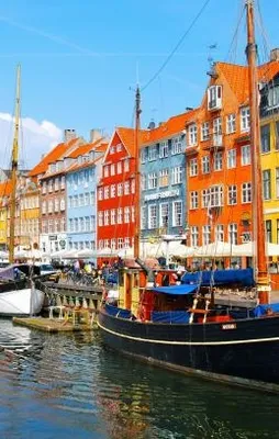 Danimarka Prensi Henri'ye bunama teşhisi konuldu