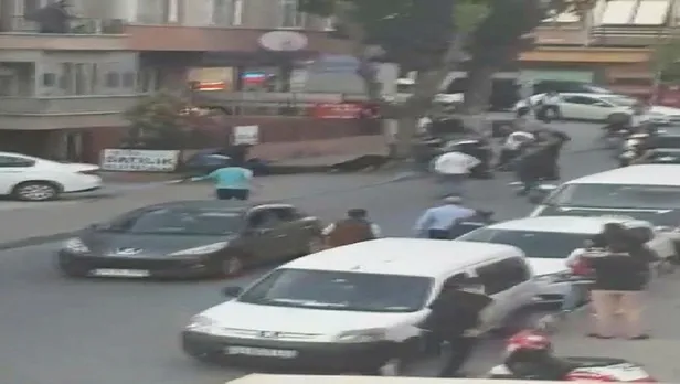 İstanbul Maltepe'de 'narkozlu' köpek dehşeti-1