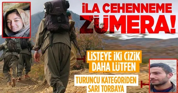 Son dakika: Turuncu kategoriden sarı torbaya! Van’da PKK’lı Osman Yıldırımçakar ve Şehmiran Karahan imha edildi
