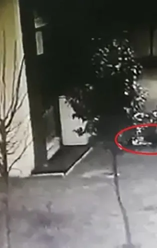 Türkiye'nin konuştuğu olay: Sedefnur'un balkondan düştüğü an kamerada