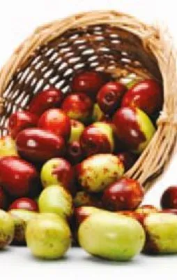 Karaciğer dostu hünnap