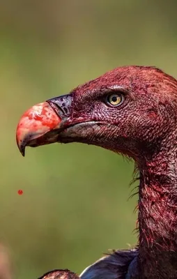 Yıla damgasını vuran 50 fotoğraf