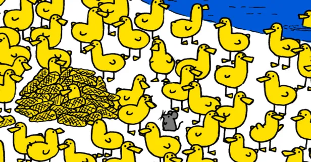 Ördek yavruları arasındaki civcivi gördüysen nirvanaya çıktın demektir! Görsel zeka testi OLAY OLDU