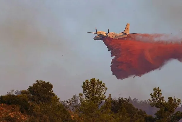 Aydın Söke'de orman yangını kontrol altında!-5