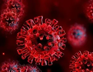 Korona virüs vakası olan iller hangileri?