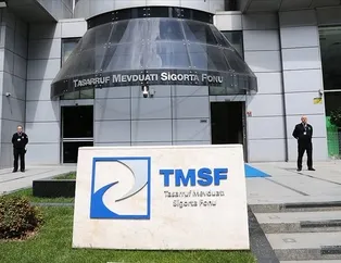 TMSF iki şirketi satışa çıkardı! Karar Resmi Gazete’de...