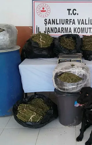 Şanlıurfa'da uyuşturucu çetesine 4 tutuklama