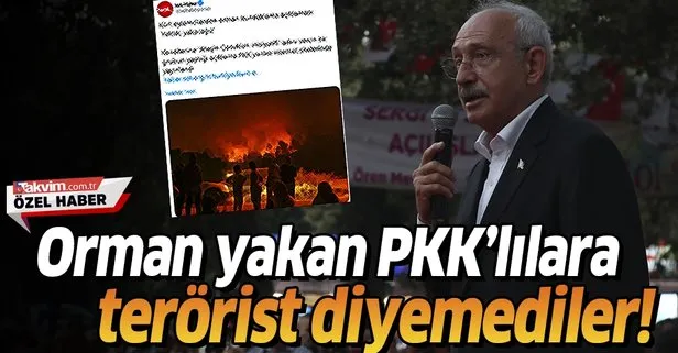 Orman yakan PKK’lılara terörist diyemediler!