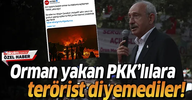 Orman yakan PKK'lılara terörist diyemediler!