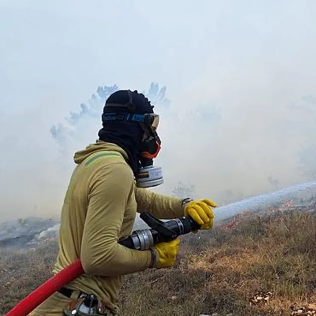Bolu’da orman yangını