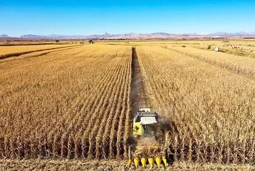 Tarımda zirveye doğru ilerliyoruz