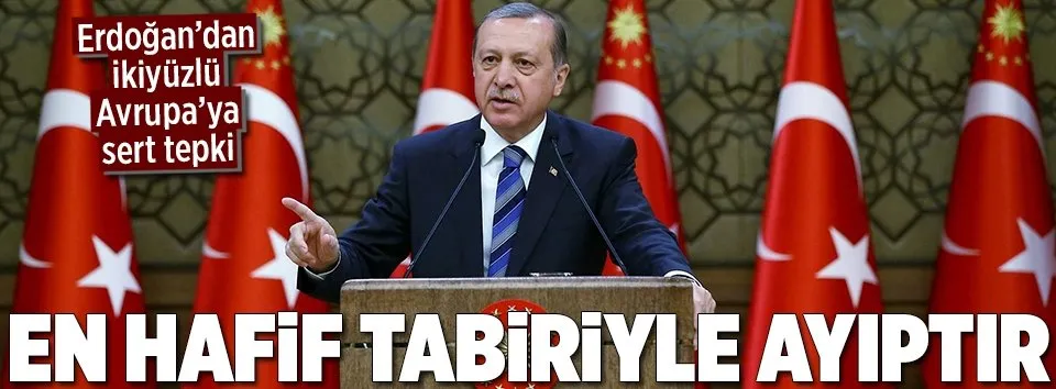 Erdoğan: En hafif tabiriyle ayıptır