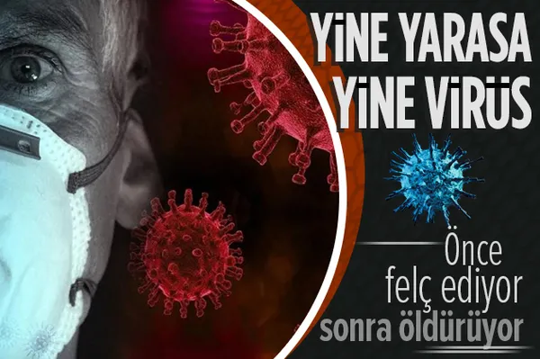 Son dakika: Koronavirüs bitmeden yeni bir virüs daha ortaya çıktı! Kaynak yine yarasa! Önce felç ediyor sonra öldürüyor!-1