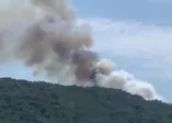 Heybeliada'da orman yangını