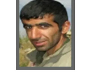 300 binlik hain öldürüldü