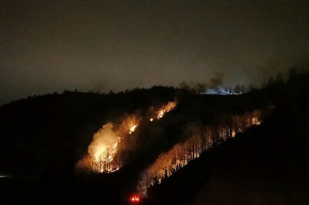Trabzon'daki örtü yangınlarına müdahale ediliyor