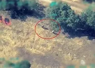 Son dakika: Irakın kuzeyinde orman yakan PKKlı teröristler etkisiz hale getirildi