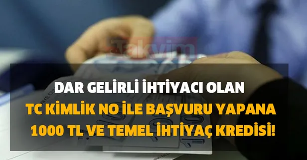 E-Devlet T.C. ile pandemi yardımı öğrenme ekranı! Ve 1000 TL ve temel ihtiyaç kredisi...