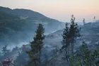 Bilecik'te çıkan orman yangını kontrol altına alındı