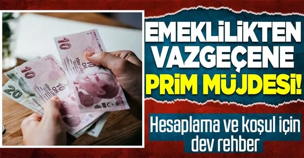 Son dakika: Primini geri almak isteyenlere müjde! Emekli olmak istemeyen devletten primlerini geri alabilir mi?