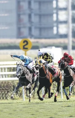 Dört nala para bastı