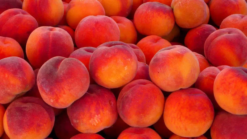 3 günde 3 kilo verdiren herkesin merak ettiği şeftali diyeti! - 3