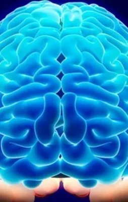 Bu bulmacayı çözene tam 1 milyon dolar ödül var