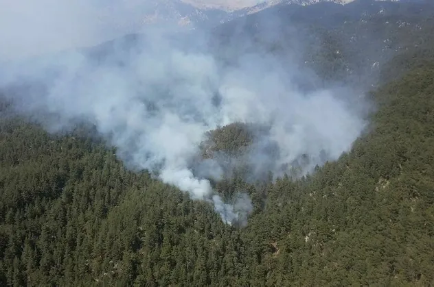 Son dakika: Antalya Demre'deki yangında, 100 dönüm orman alanı kül oldu