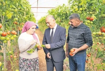 ŞOK Marketler’den pestisit hamlesi! Taze meyve-sebze 30 dakikada analiz edilecek