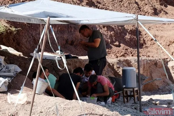 Çankırı'da 8,5 milyon yıllık fosil bulundu! - 9