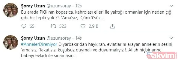 Yılmaz Güney'in eşi Fatoş Güney evlat nöbeti tutan Diyarbakır annelerine destek verdi: Anneler çocuklarına kavuşmalı! - 25