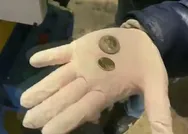 Sahte altın, sahte dolar derken şimdi de sahte euro! Almanyaya götürülecekti! Binlercesi ele geçirildi