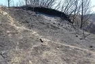 Çanakkale'deki orman yangını sonrası büyük korku! Çanakkale Savaşları'ndan kalma patlamamış top mermisi gün yüzüne çıktı
