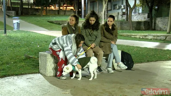 Düzce beşik gibi sallandı! Düzce'de meydana gelen 5,9 büyüklüğündeki depremin ardından vatandaş sokağa döküldü - 20