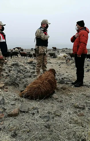 Iğdır'da 80 koyunu çalan 6 hırsız yakalandı