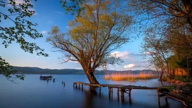 yesillikler-icin-dinlenmek-isteyenlerin-dogal-adresi-sapanca-1661898877798.jpeg Yeşillikler için dinlenmek isteyenlerin doğal adresi Sapanca-3