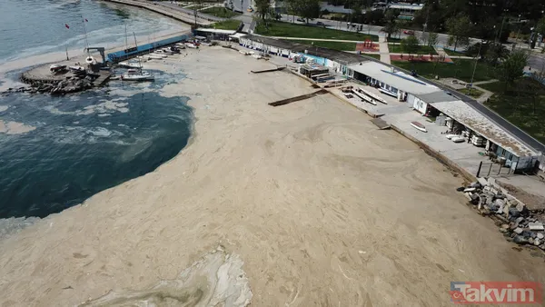 İstanbul Fenerbahçe Sahili deniz salyası kaplandı - 6