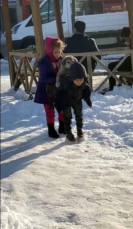 hükümet Düşünce oynamak Türkiye onu sırtında yavru köpeği taşıdığı fotoğrafla tanıdı! Suriyeli Mustafa 'Ayaz' adını verdiği köpeğe evlerinde bakıyor videosunu izle | Takvim TV hükümet Düşünce oynamak Türkiye onu sırtında yavru köpeği taşıdığı fotoğrafla tanıdı! Suriyeli Mustafa 'Ayaz' adını verdiği köpeğe evlerinde bakıyor videosunu izle | Takvim TV