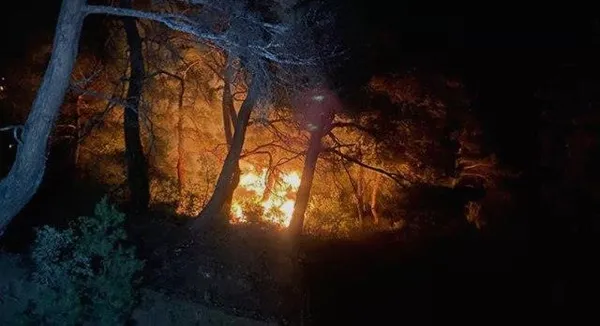 canakkalede-korkutan-orman-yangini-cok-sayida-ekip-sevk-edildi-1690407399979.jpeg