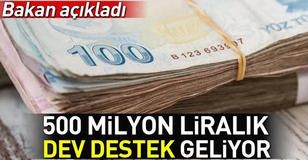 Bakan Varank açıkladı! 500 milyon liralık dev destek geliyor