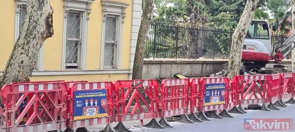 İBB'nin Çırağan'daki ağaç katliamının raporu açıklandı! Bilimsel çalışma yapılmadığı ortaya çıktı - 28