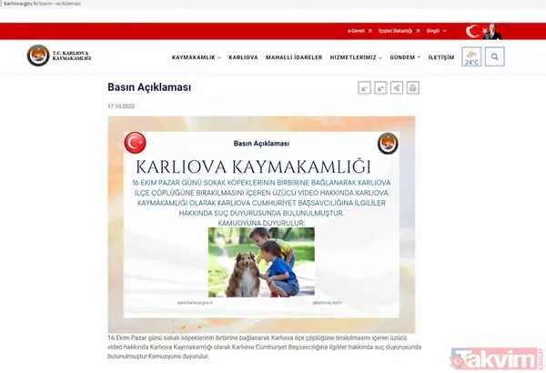 Bingöl Karlıova'da dehşet görüntü! Köpekler iple birbirine bağlanıp çöplüğe bırakıldı - 3