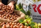 Fındık piyasasında 6 büyük firmaya soruşturma! Rekabet Kurumu'ndan üreticiyi koruyan hamle
