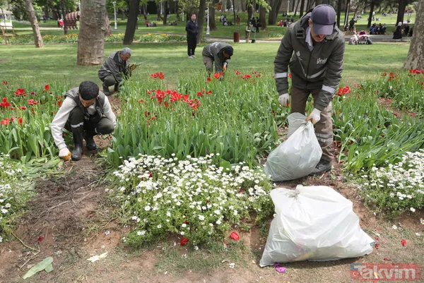 İstanbul Gülhane Parkı 10 katı ziyaretçi ağırladı! Laleler talan edildi - 24