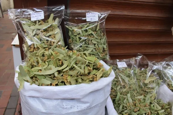 kilosu-400-lira-600-liraya-kadar-cikabilir-gribin-kalkani-ihlamur-1634624710319.jpg Kilosu 400 lira 600 liraya kadar çıkabilir! Gribin kalkanı ıhlamur-4