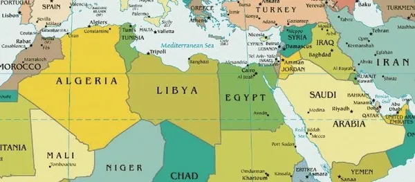 Türkiye ile Cezayirli iş adamları arasında dijital platform-3