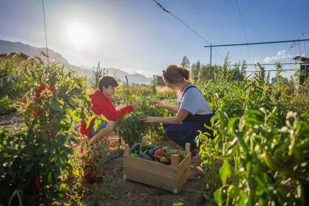 findik-cay-gubre-ve-mazot-destegi-ne-zaman-yatacak-e-devlet-ciftci-destek-sorgulama-ekrani-tarimsal-destek-ode-1680709170751.jpg Tarımsal destek ödemesi ayın kaçında yapılacak? Fındık, çay, gübre ve mazot desteği ne zaman yatacak? e-devlet ÇİFTÇİ DESTEK sorgulama ekranı!-6